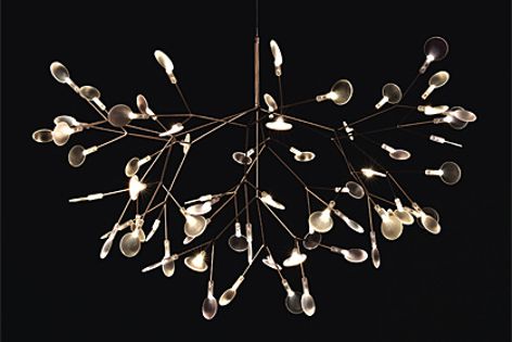 The Moooi Heracleum light is inspired by the heracleum plant.