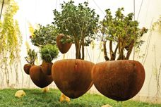 Floating pots from UAP Product