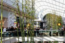 Thermotech glazing at Chadstone shopping centre