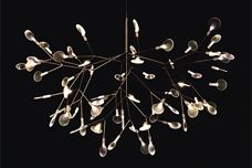 Moooi Heracleum light from Space
